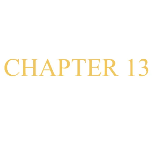 Chapter 13