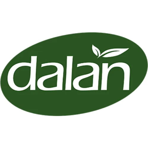 Dalan